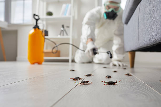 Commercial Kitchen Cockroach Control in Southwest Ranches